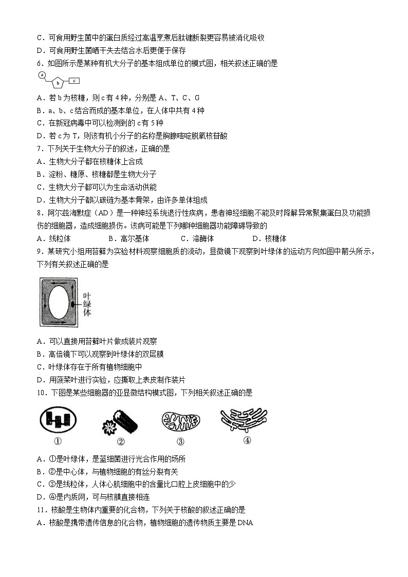 山东省百师联考2024-2025学年高一上学期期中考试生物试卷第2页