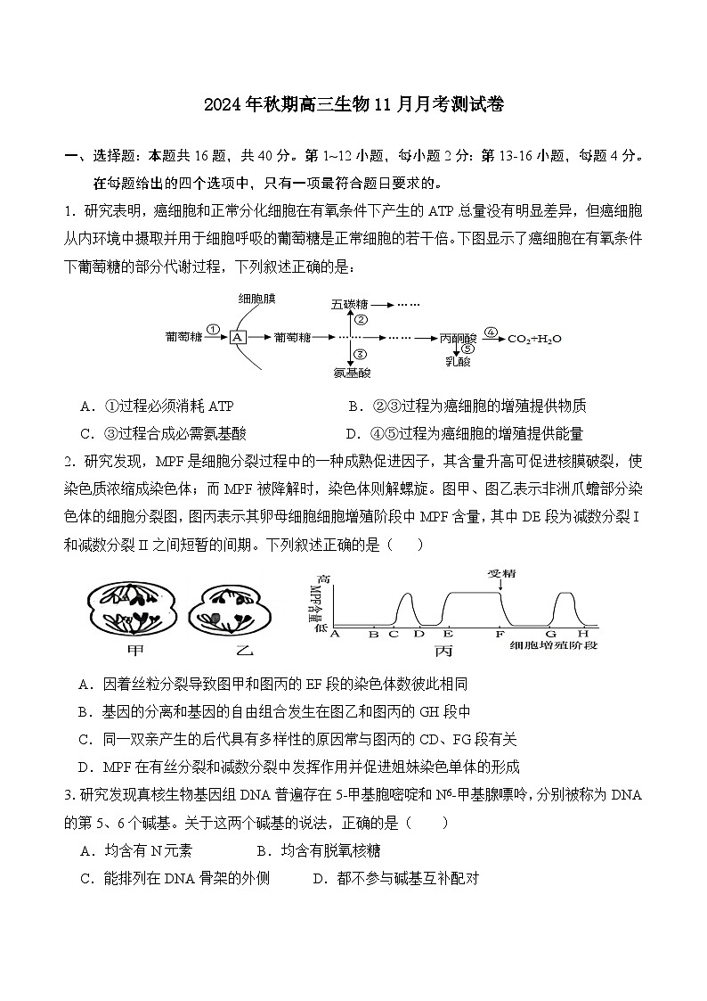 广西钦州市灵山县2024-2025学年高三上学期11月月考生物试题第1页