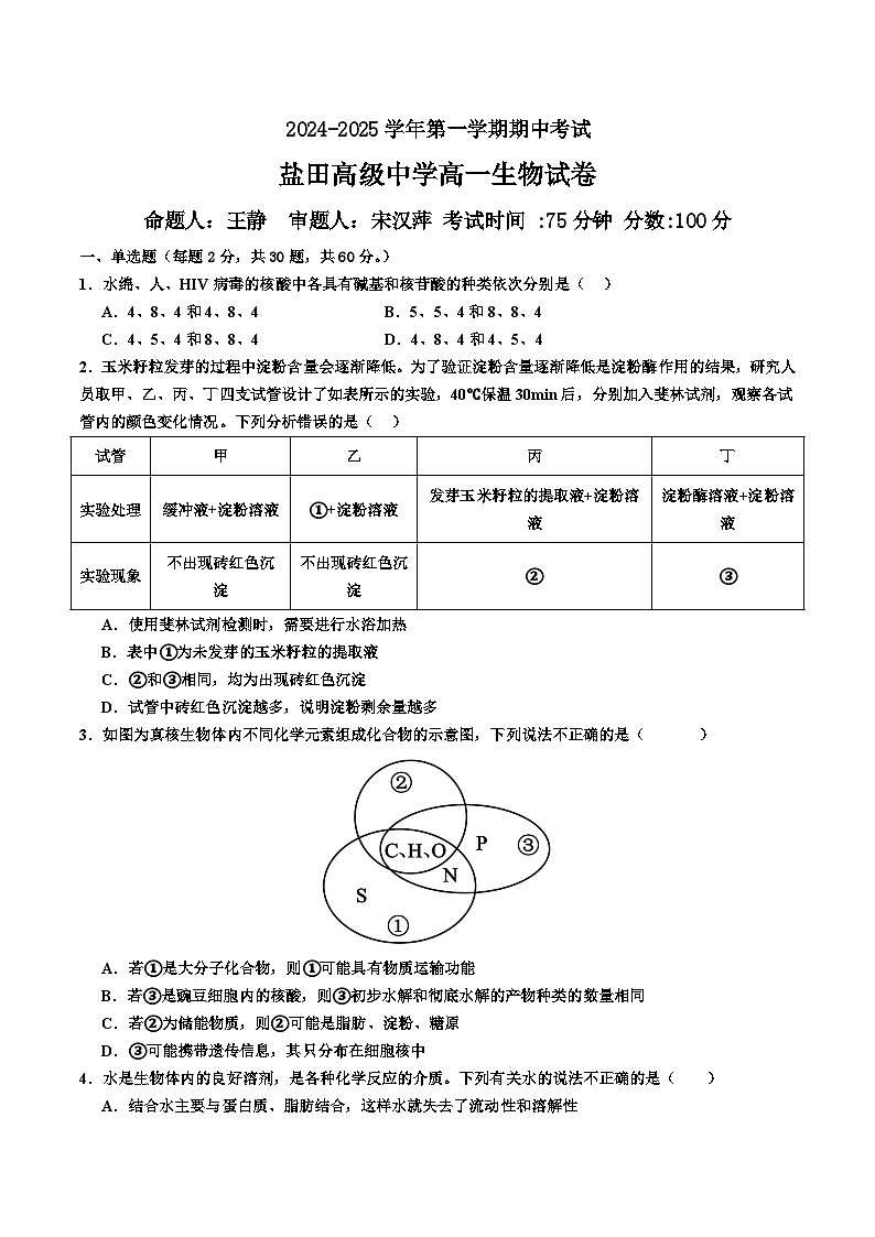 广东省深圳市盐田区深圳市盐田高级中学2024-2025学年高一上学期11月期中考试生物试题01
