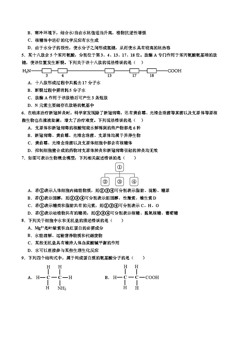 广东省深圳市盐田区深圳市盐田高级中学2024-2025学年高一上学期11月期中考试生物试题02