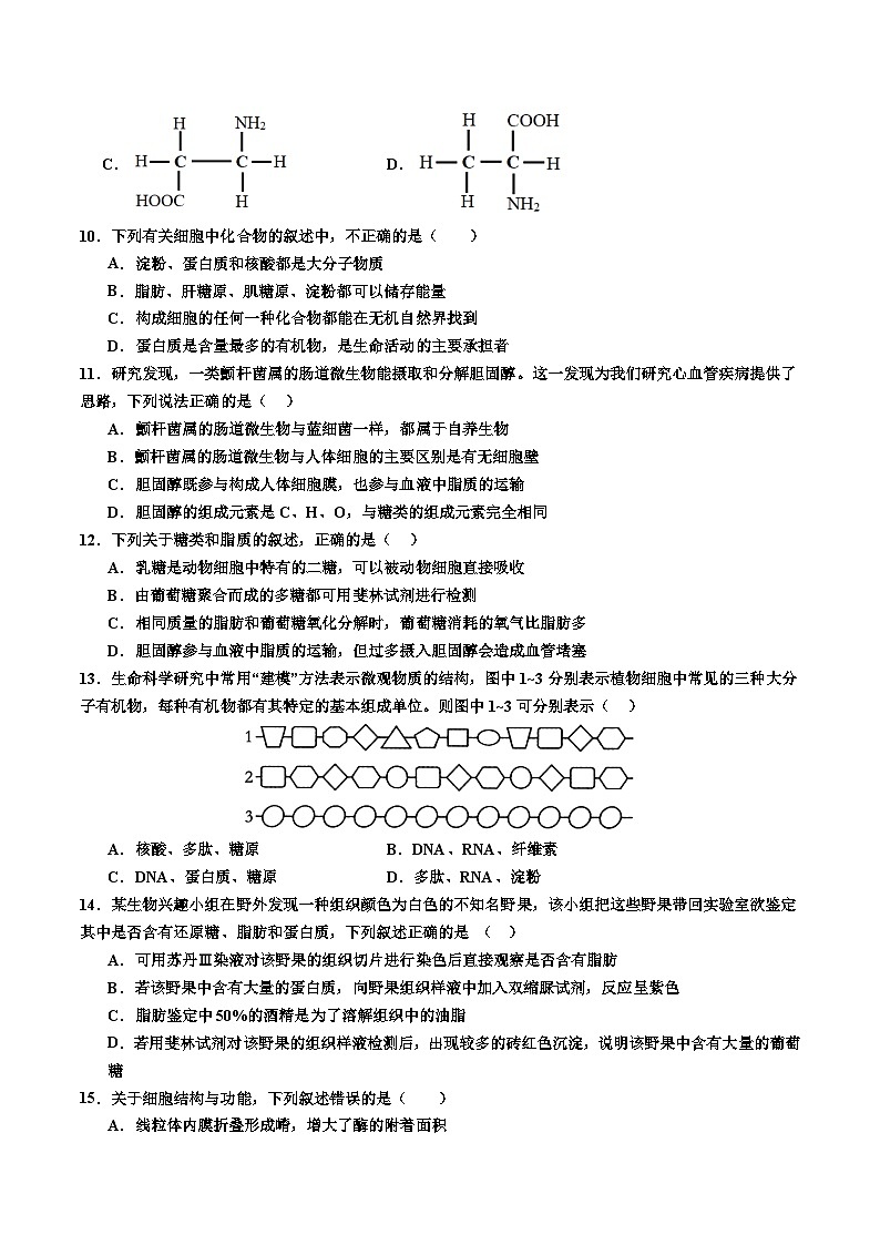 广东省深圳市盐田区深圳市盐田高级中学2024-2025学年高一上学期11月期中考试生物试题03