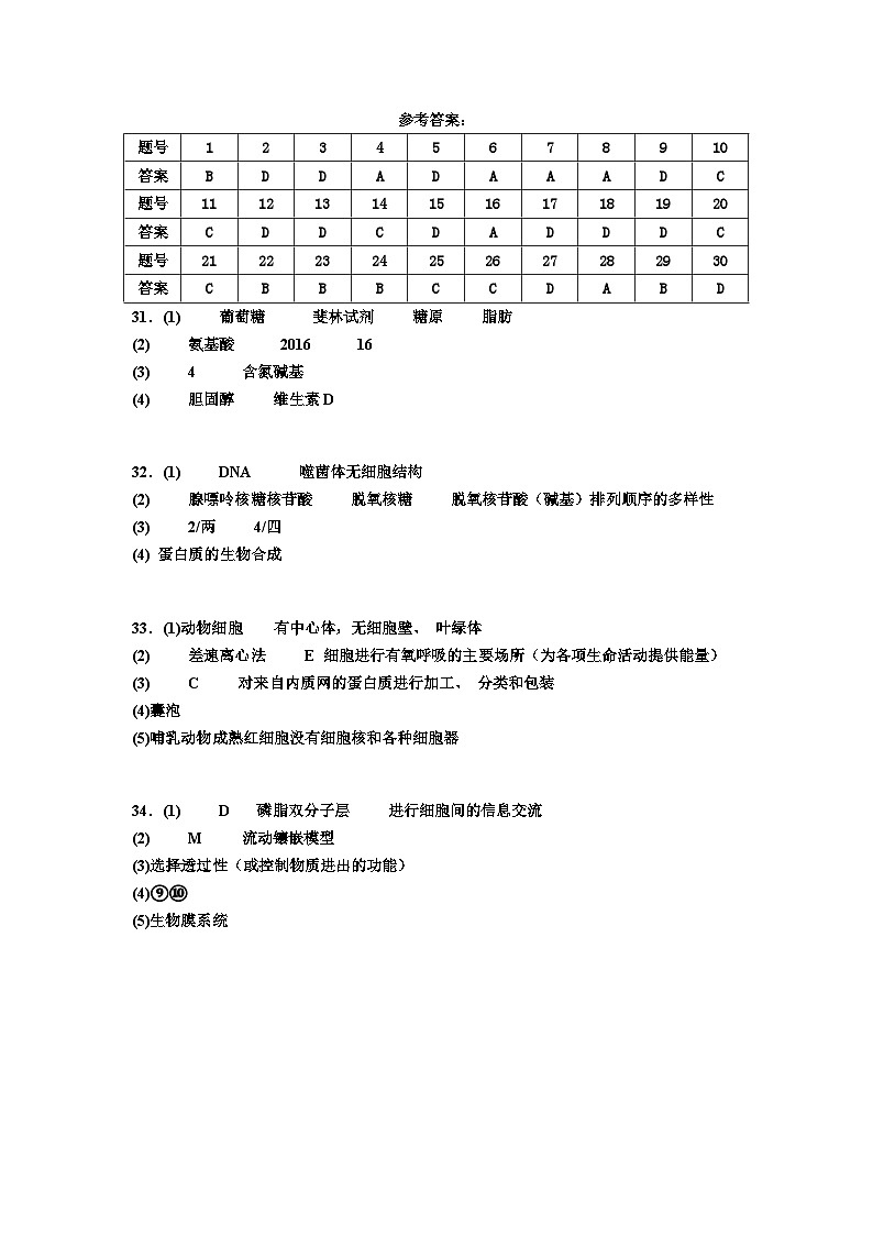 广东省深圳市盐田区深圳市盐田高级中学2024-2025学年高一上学期11月期中考试生物试题01