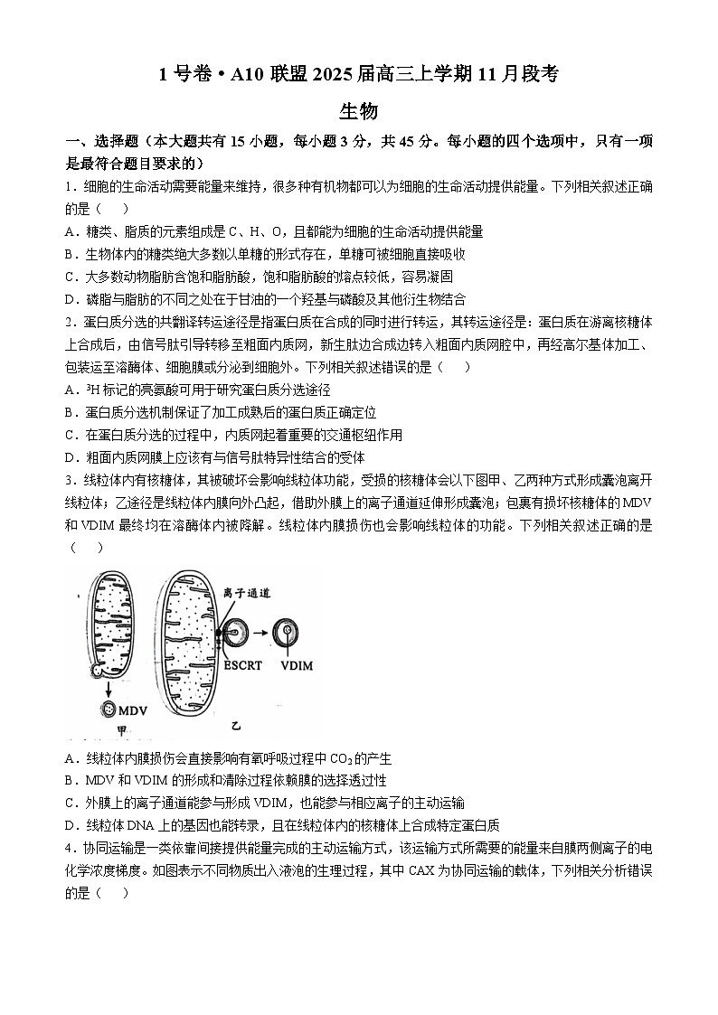 安徽省A10联盟2024-2025学年高三上学期11月月考生物试题第1页