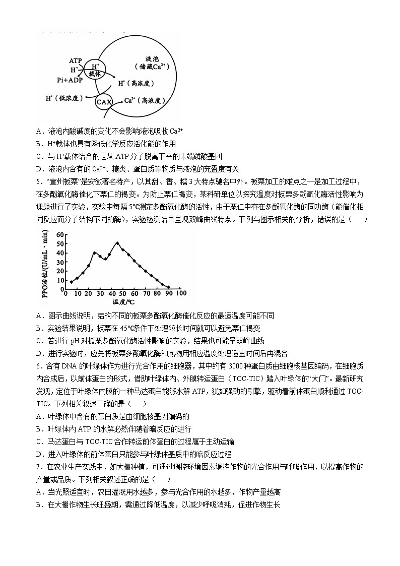 安徽省A10联盟2024-2025学年高三上学期11月月考生物试题第2页