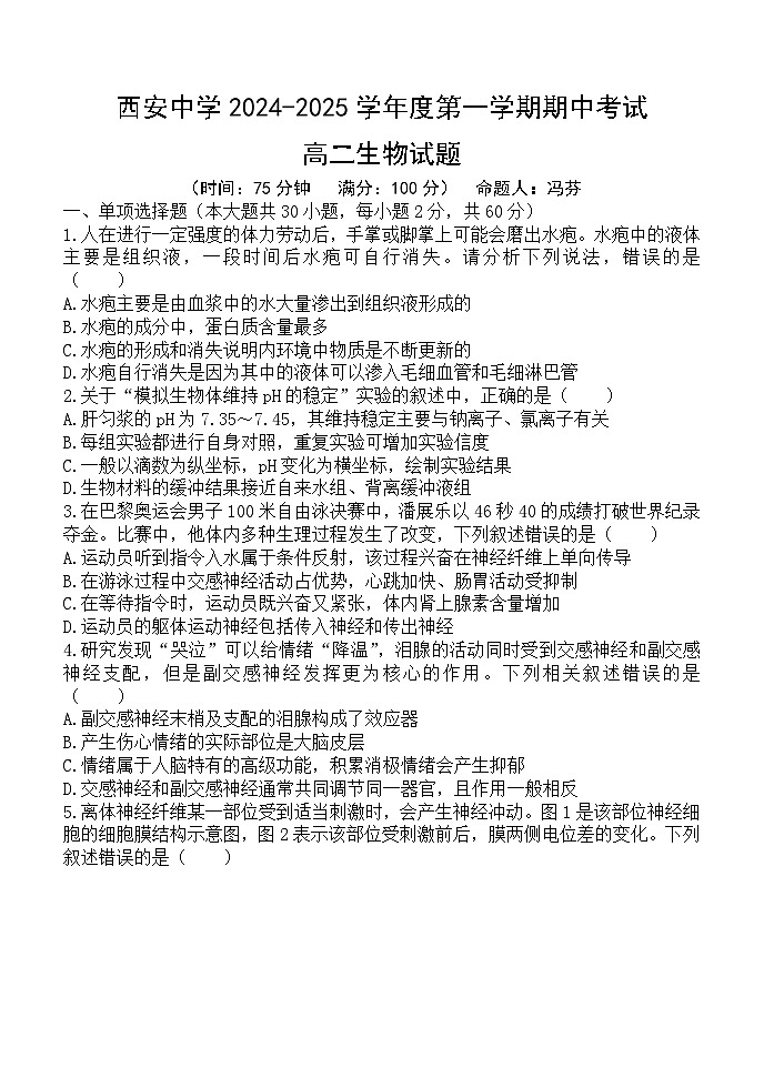 陕西省西安市新城区陕西省西安中学2024-2025学年高二上学期11月期中考试生物试题第1页