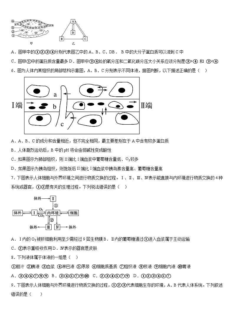 广西钦州市第四中学2024-2025学年高二上学期9月月考生物试题第2页