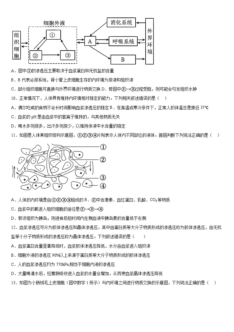 广西钦州市第四中学2024-2025学年高二上学期9月月考生物试题第3页