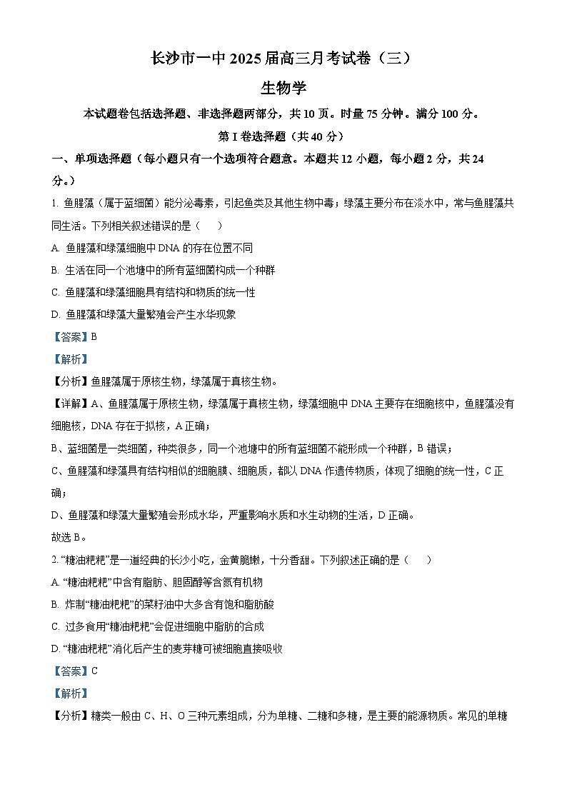 湖南省长沙市第一中学2024-2025学年高三上学期第三次月考生物试卷（Word版附解析）01
