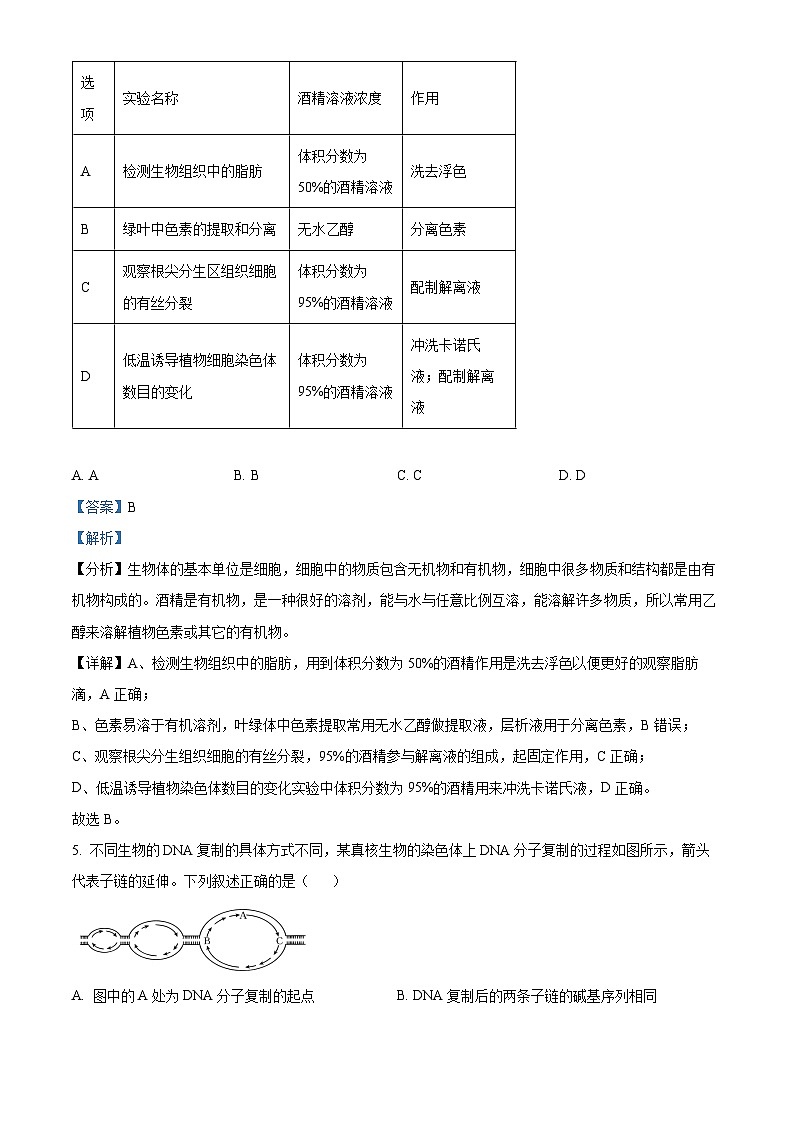 湖南省长沙市第一中学2024-2025学年高三上学期第三次月考生物试卷（Word版附解析）03