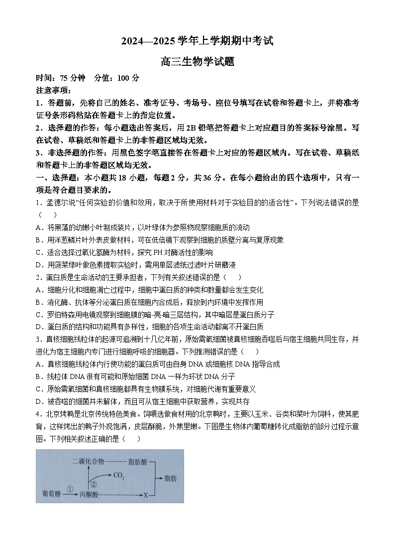 湖北省2024-2025学年高三上学期期中考试生物试卷（Word版附答案）第1页