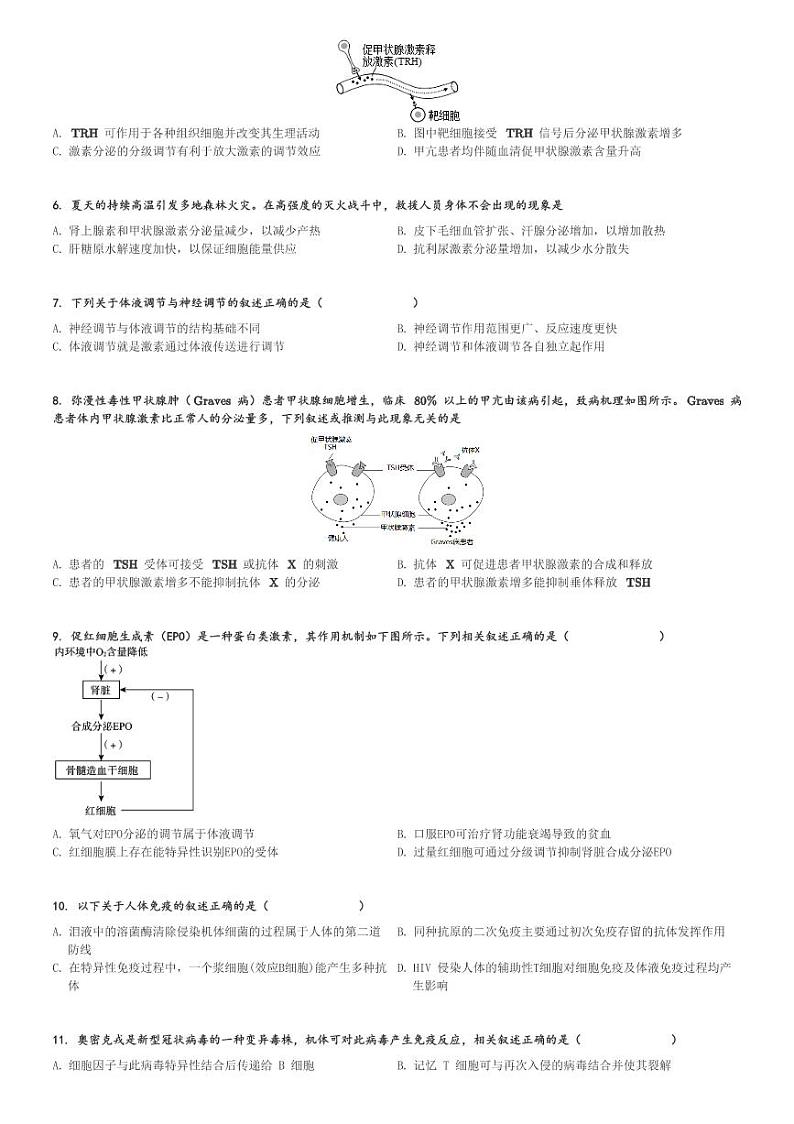2024～2025学年北京朝阳区北京市日坛中学高二(上)期中生物试卷[原题+解析]第2页