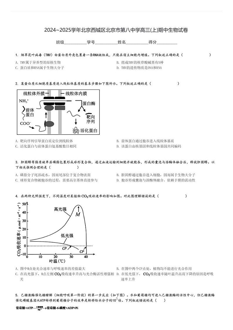 2024～2025学年北京西城区北京市第八中学高三(上)期中生物试卷[原题+解析]01