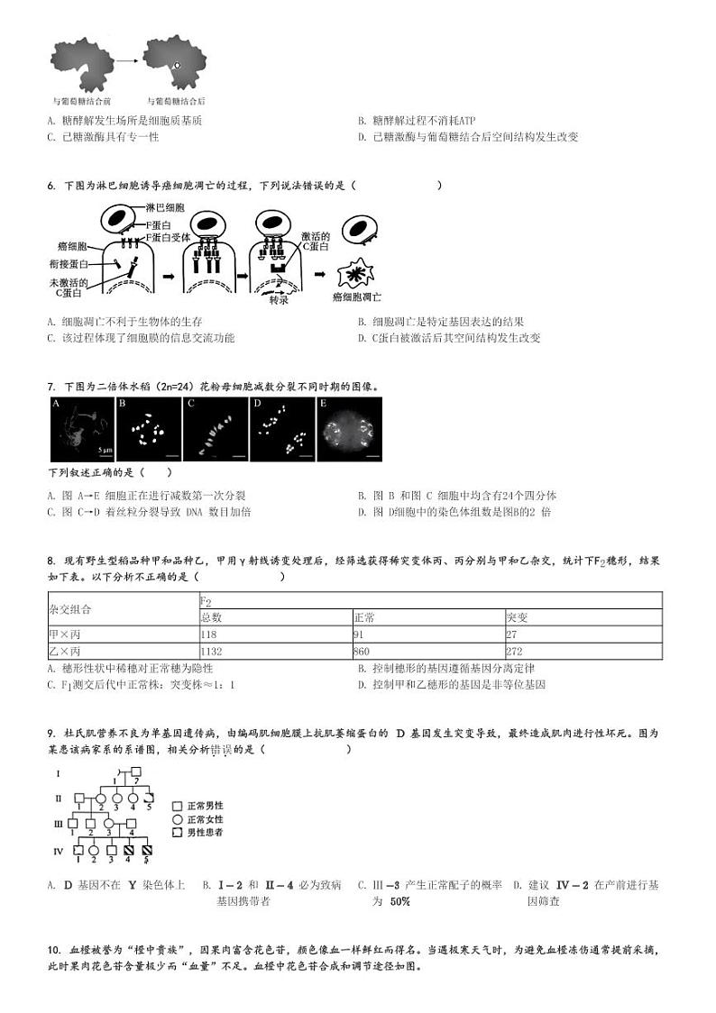 2024～2025学年北京西城区北京市第八中学高三(上)期中生物试卷[原题+解析]02