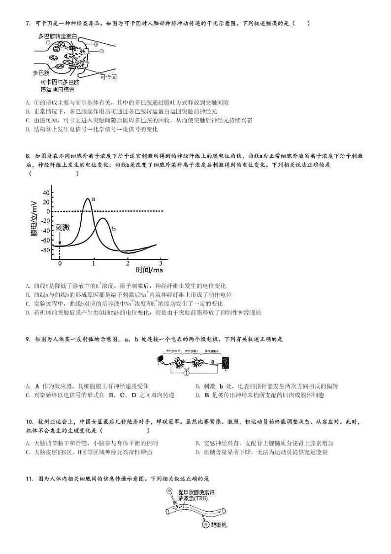 2024～2025学年北京海淀区北京市八一学校高二(上)期中生物试卷[原题+解析]第2页