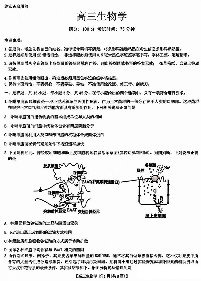 2025届安徽省小高考&鼎尖名校高三上学期11月考-生物试卷+答案第1页