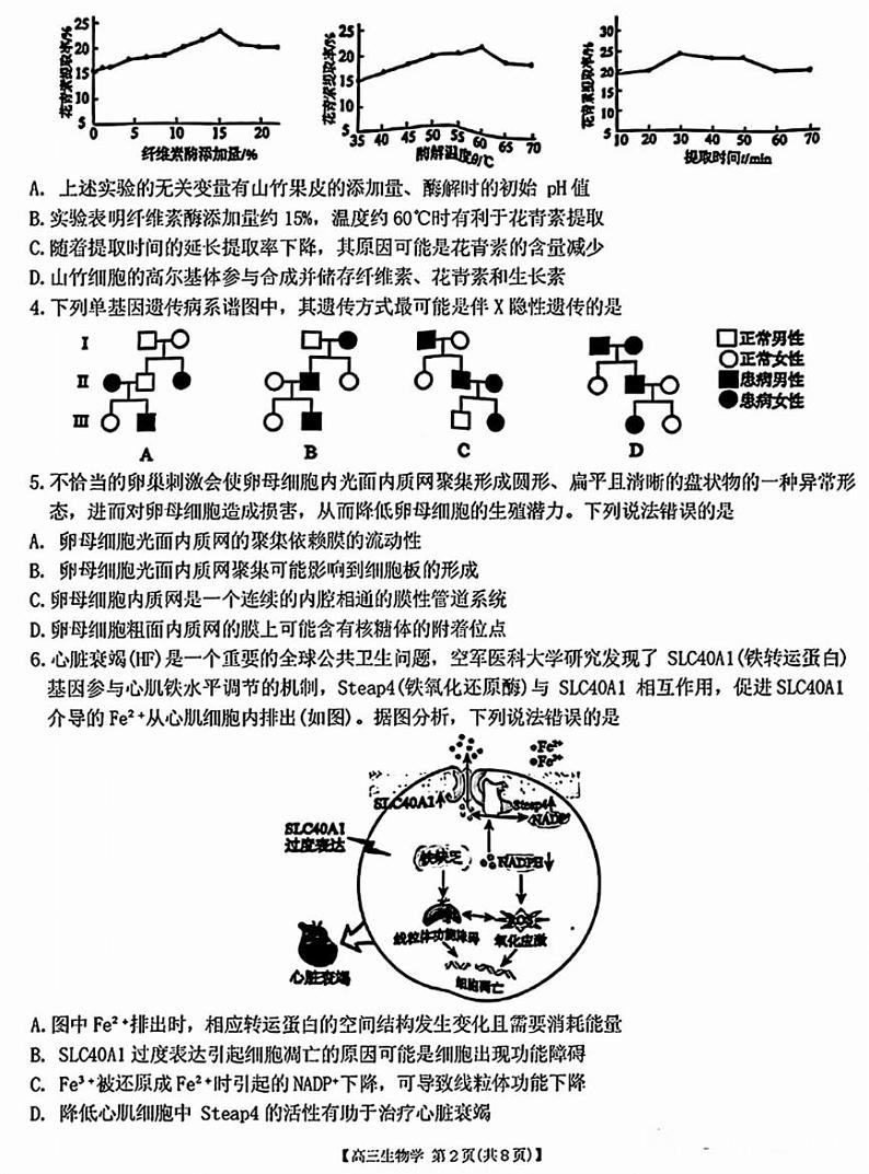 2025届安徽省小高考&鼎尖名校高三上学期11月考-生物试卷+答案第2页