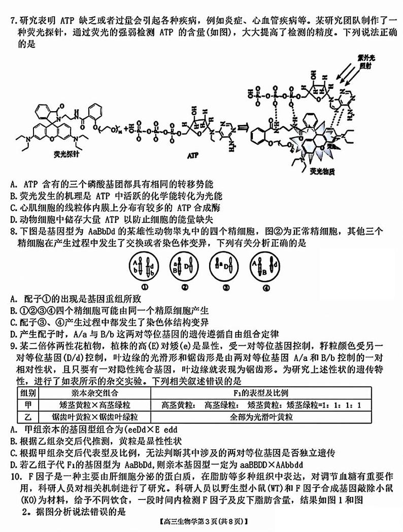 2025届安徽省小高考&鼎尖名校高三上学期11月考-生物试卷+答案第3页