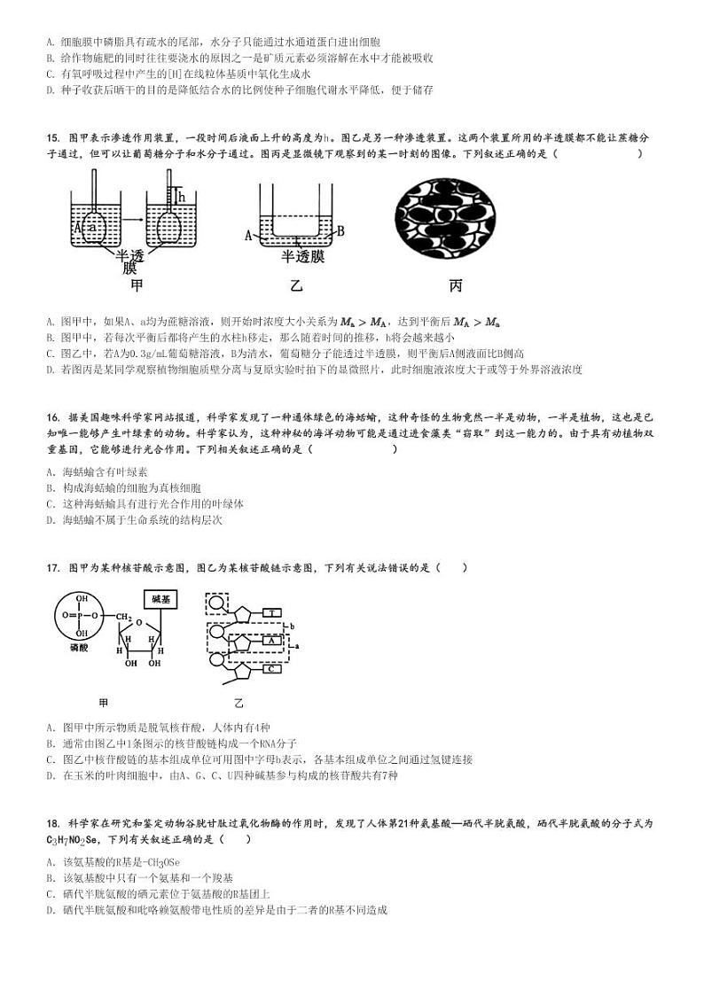 2024～2025学年山东泰安岱岳区泰山国际学校高一(上)期中生物试卷[原题+解析]第3页