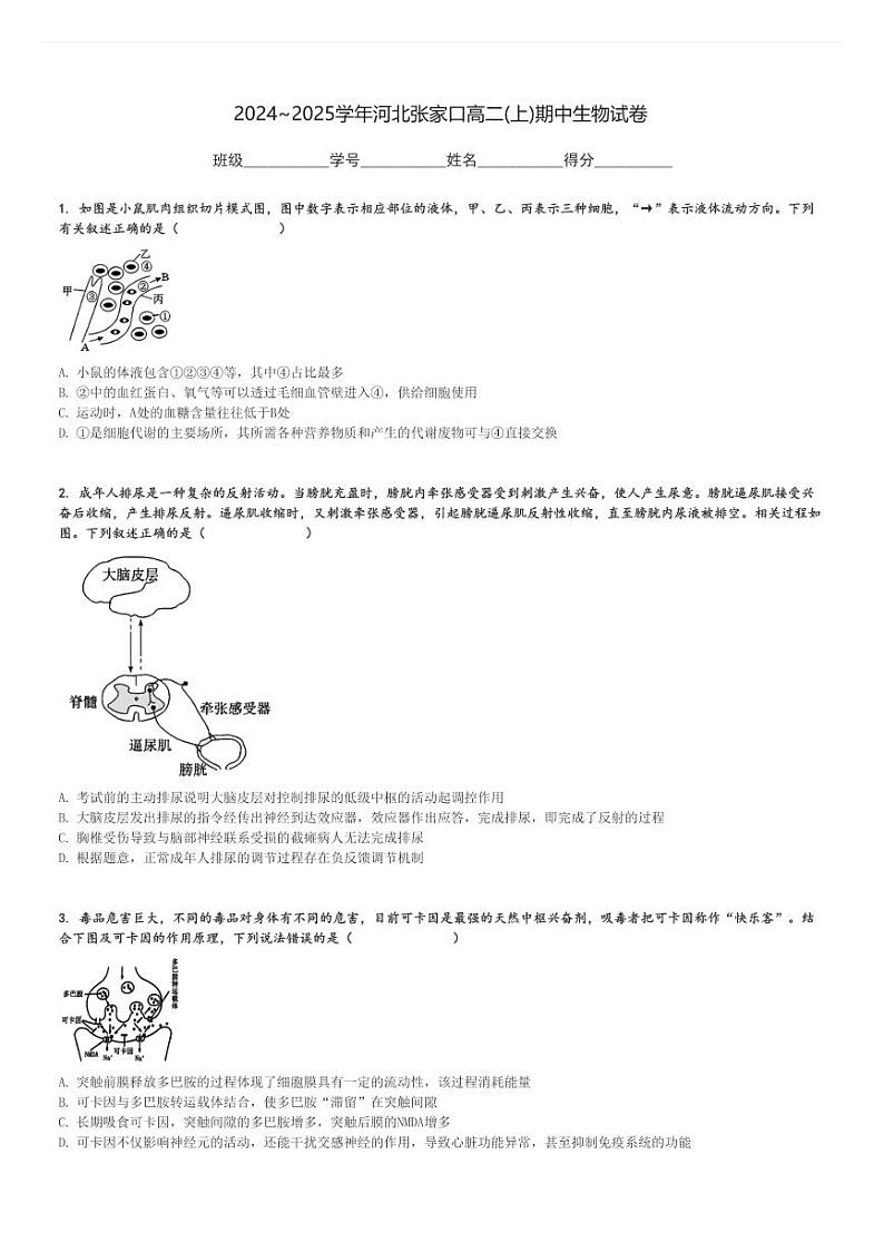 2024～2025学年河北张家口高二(上)期中生物试卷[原题+解析]01