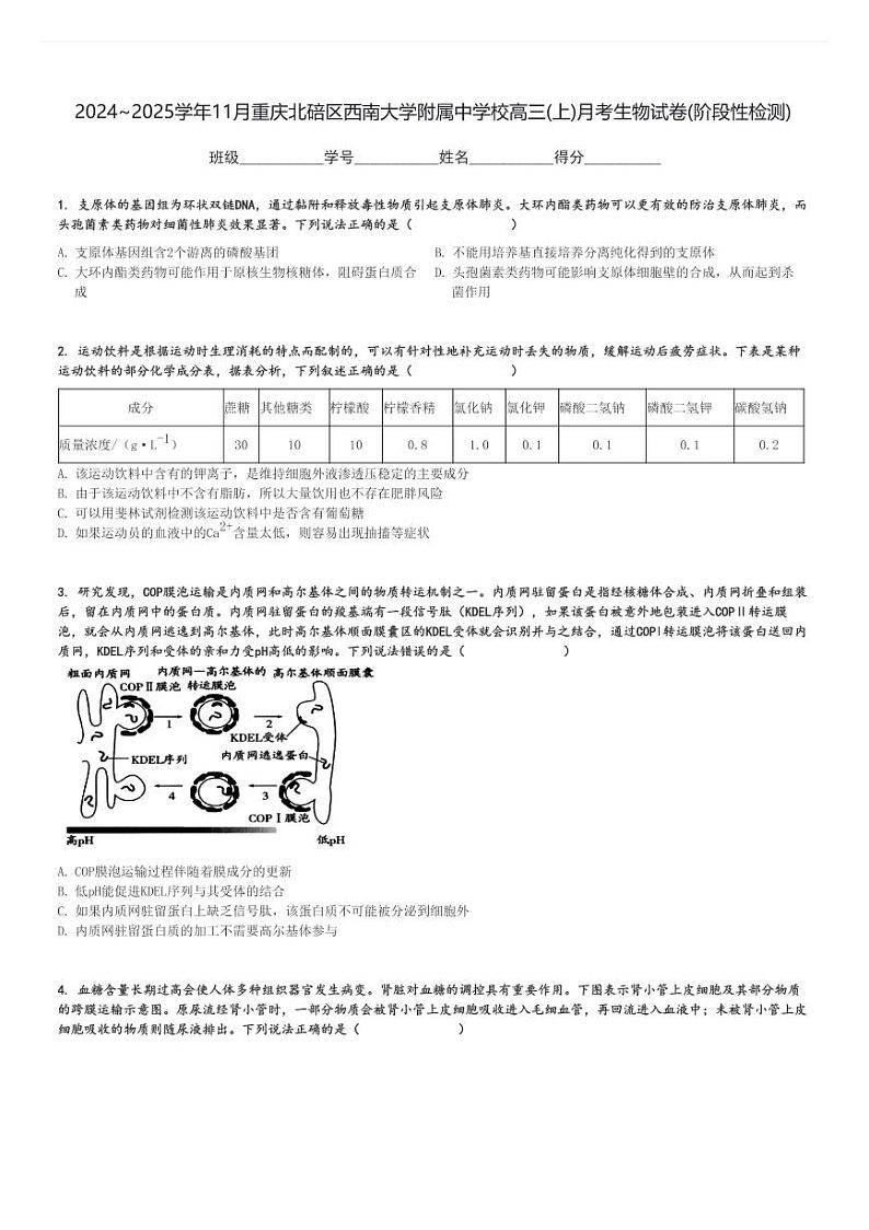 2024～2025学年11月重庆北碚区西南大学附属中学校高三(上)月考生物试卷(阶段性检测)[原题+解析]01
