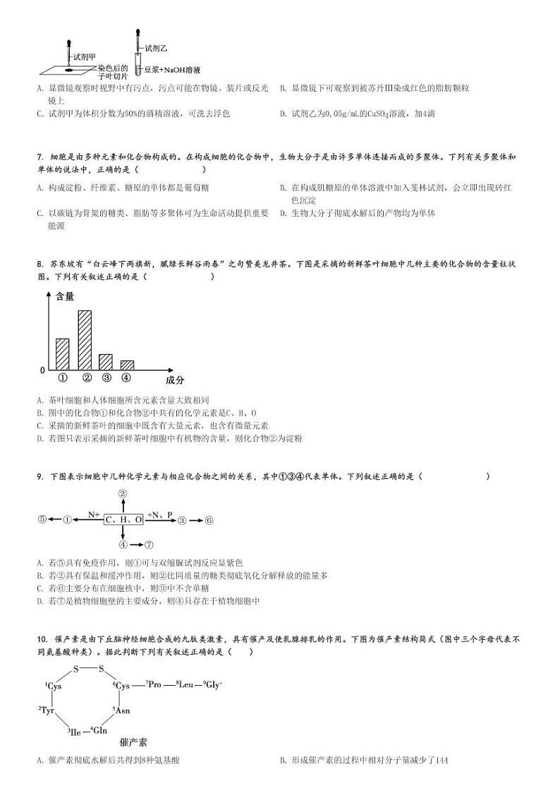 2024～2025学年广东广州海珠区广州市第六中学高一(上)期中生物试卷[原题+解析]第2页