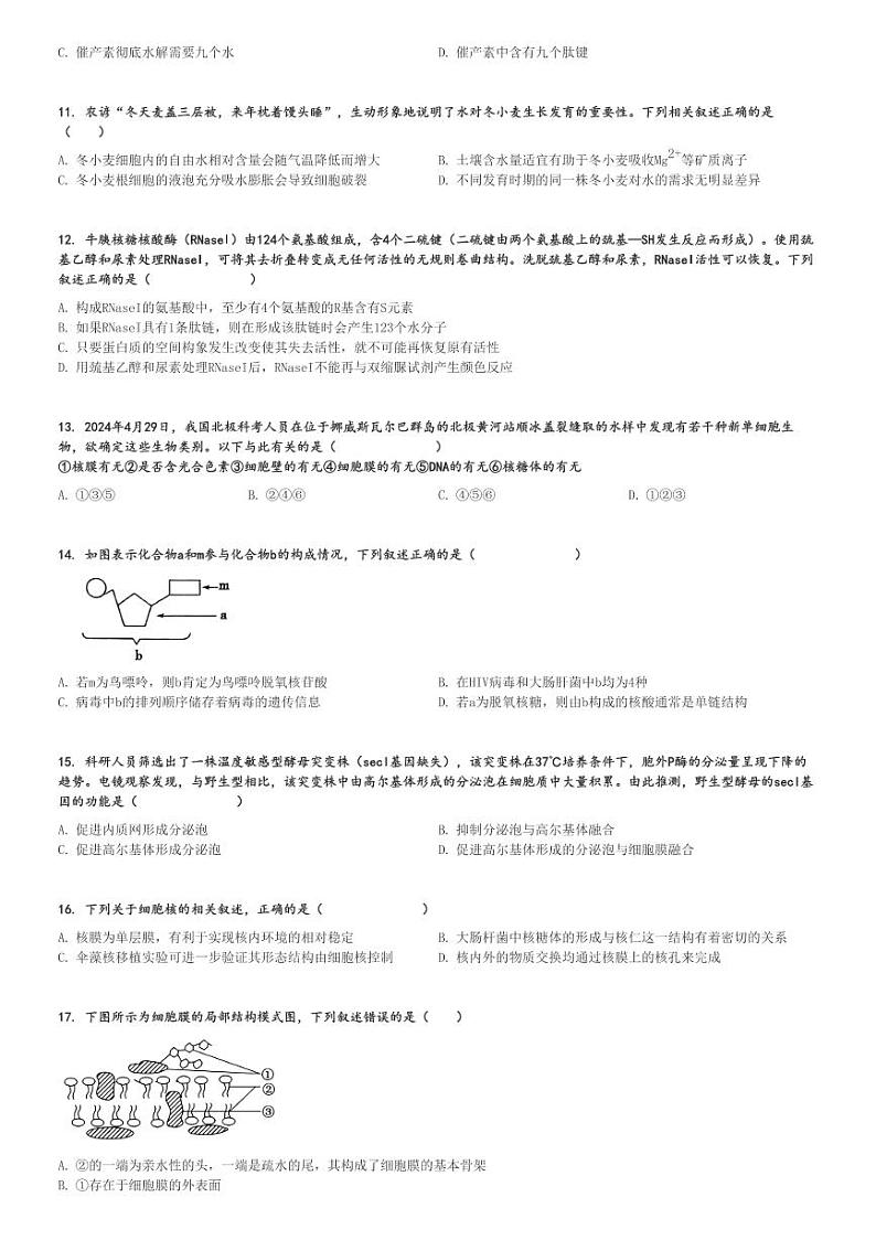 2024～2025学年广东广州海珠区广州市第六中学高一(上)期中生物试卷[原题+解析]第3页