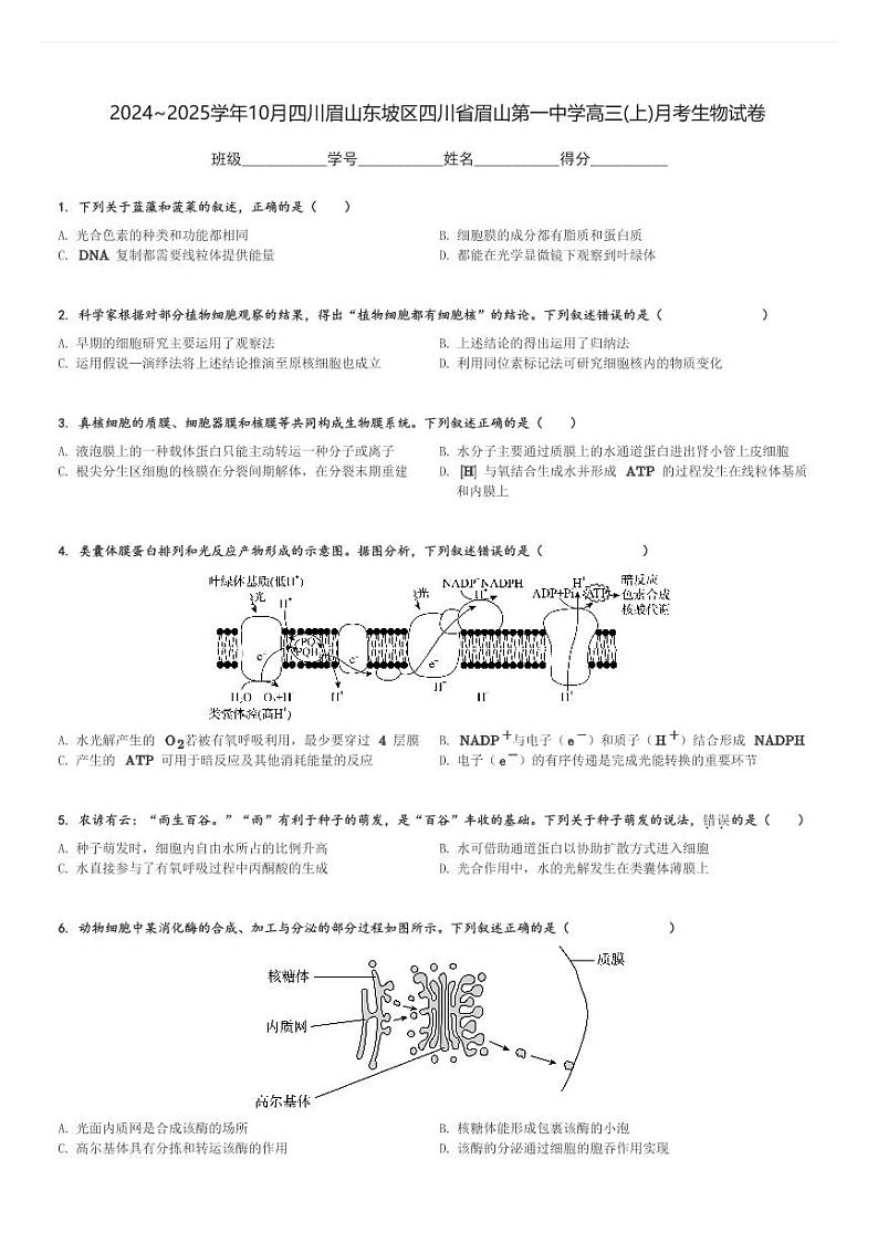 2024～2025学年10月四川眉山东坡区四川省眉山第一中学高三(上)月考生物试卷[原题+解析]第1页
