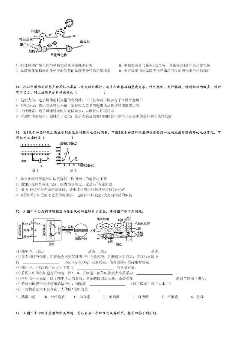 2024～2025学年10月福建福州仓山区福州第四十中学高二(上)月考生物试卷[原题+解析]第3页