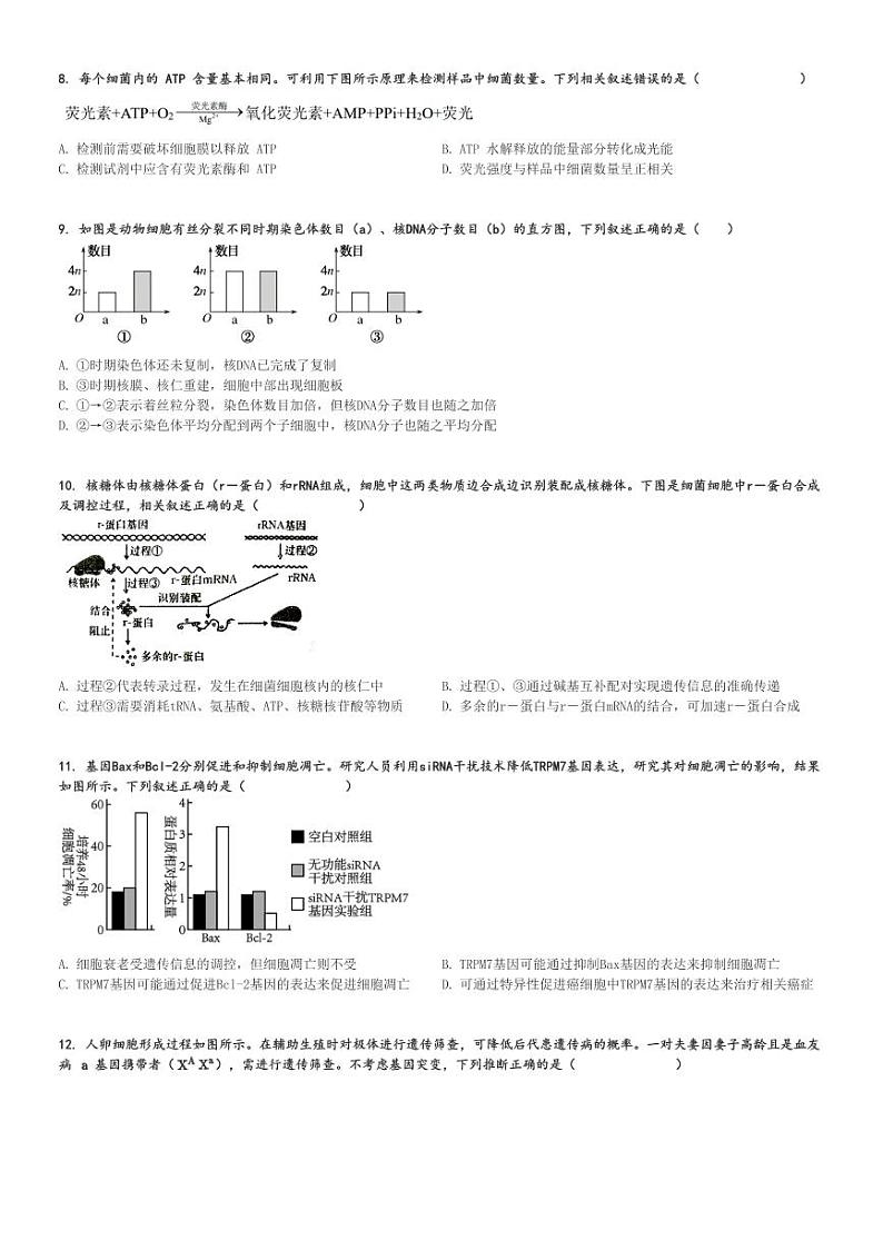 2024～2025学年天津高三(上)期中生物试卷(部分区)[原题+解析]02