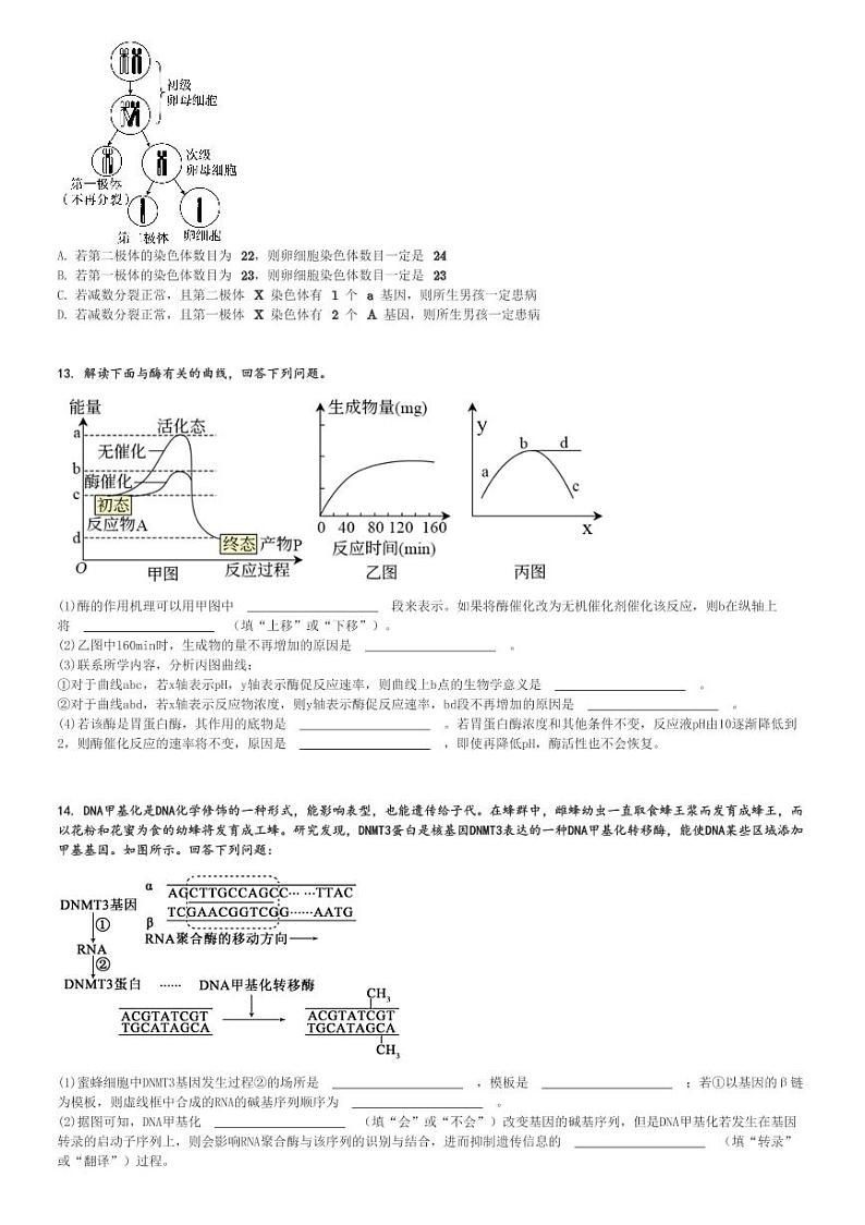 2024～2025学年天津高三(上)期中生物试卷(部分区)[原题+解析]03