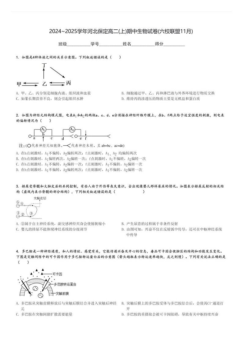 2024～2025学年河北保定高二(上)期中生物试卷(六校联盟11月)[原题+解析]第1页