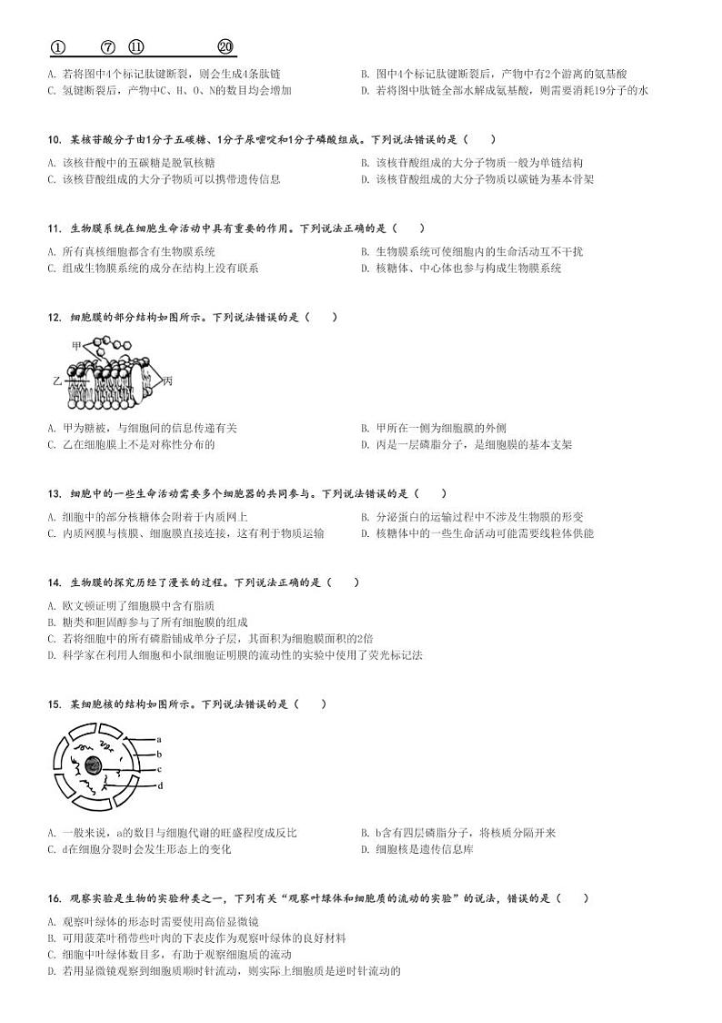 2024～2025学年陕西渭南韩城市高一(上)期中生物试卷[原题+解析]第2页