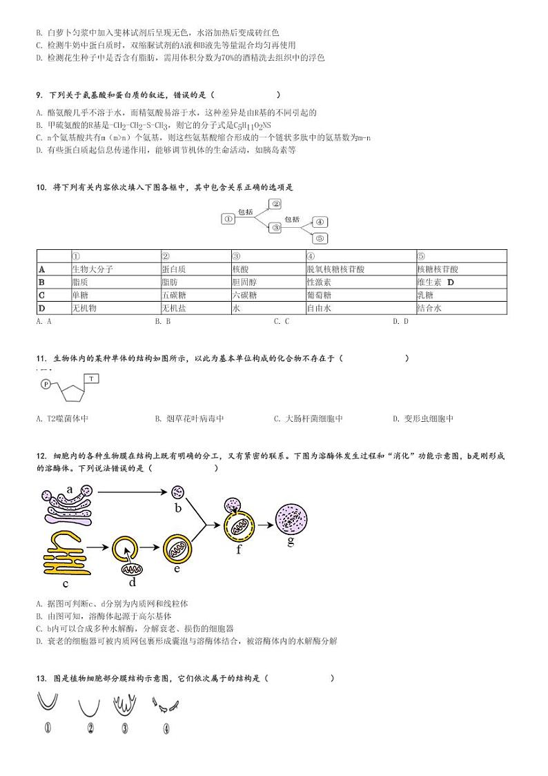 2024～2025学年辽宁鞍山铁东区鞍山市第一中学高一(上)期中生物试卷[原题+解析]02