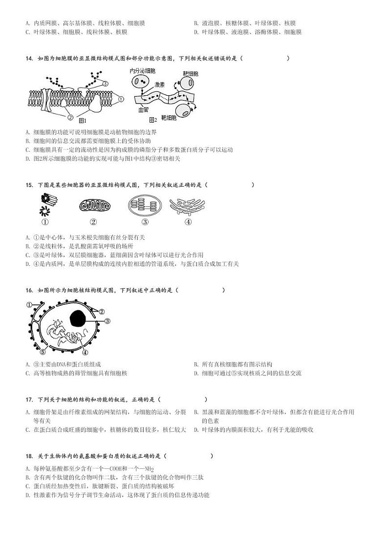 2024～2025学年辽宁鞍山铁东区鞍山市第一中学高一(上)期中生物试卷[原题+解析]03