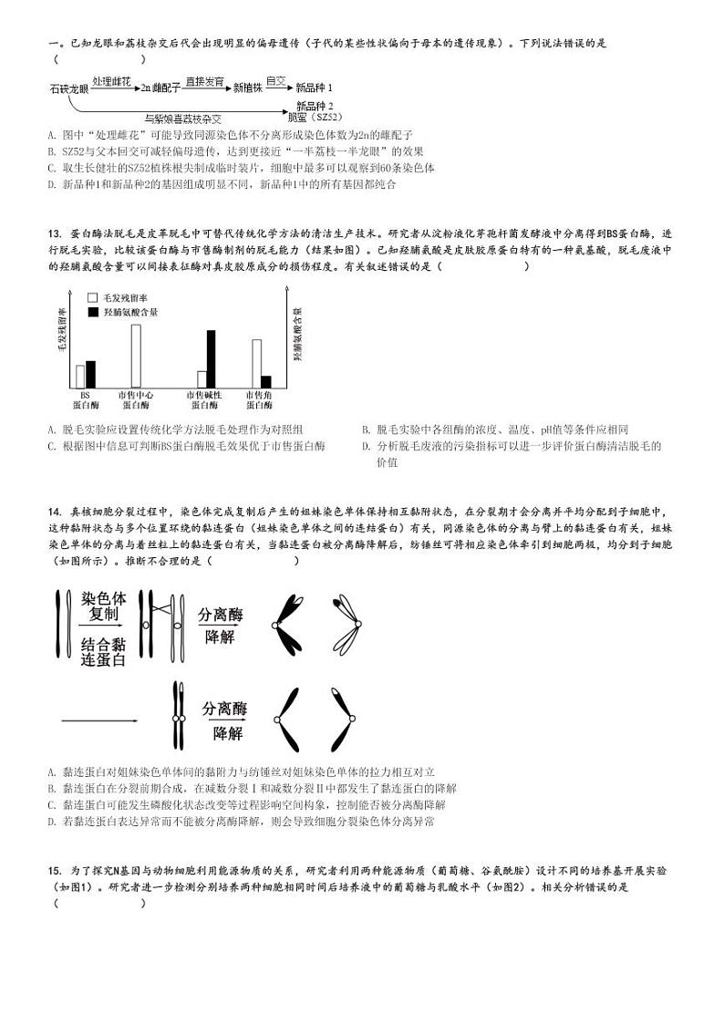 2024～2025学年11月广东佛山顺德区高三(上)月考生物试卷(教学质量检测)[原题+解析]03