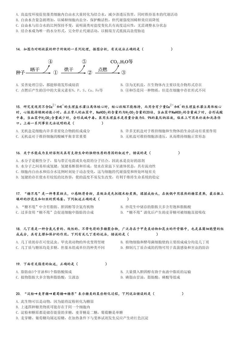2024～2025学年10月四川成都高一(上)月考生物试卷(石室悦动新城学校)[原题+解析]第3页