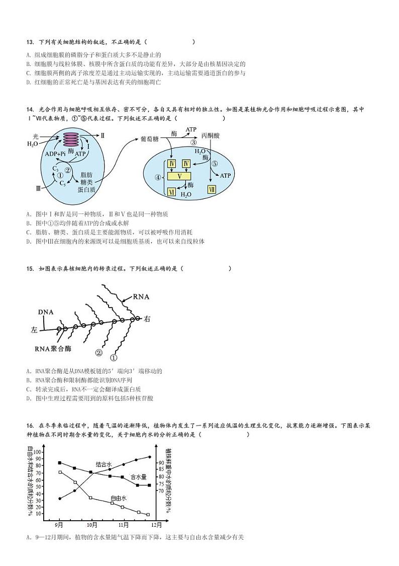 2024～2025学年11月河北沧州沧县沧县中学高三(上)月考生物试卷[原题+解析]第3页