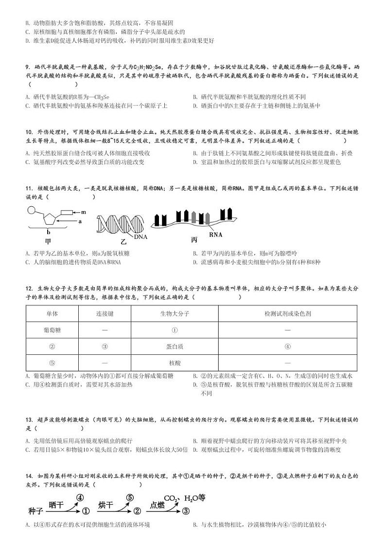 2024～2025学年广东高一(上)期中生物试卷(部分学校)[原题+解析]第2页