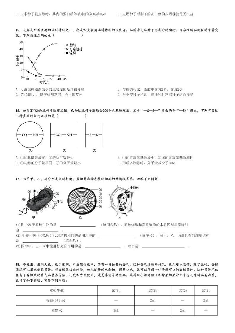 2024～2025学年广东高一(上)期中生物试卷(部分学校)[原题+解析]第3页