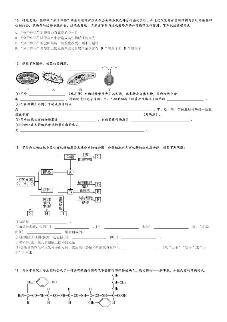 2023～2024学年10月广东韶关武江区北江实验学校高一(上)月考生物试卷[原题+解析]第3页