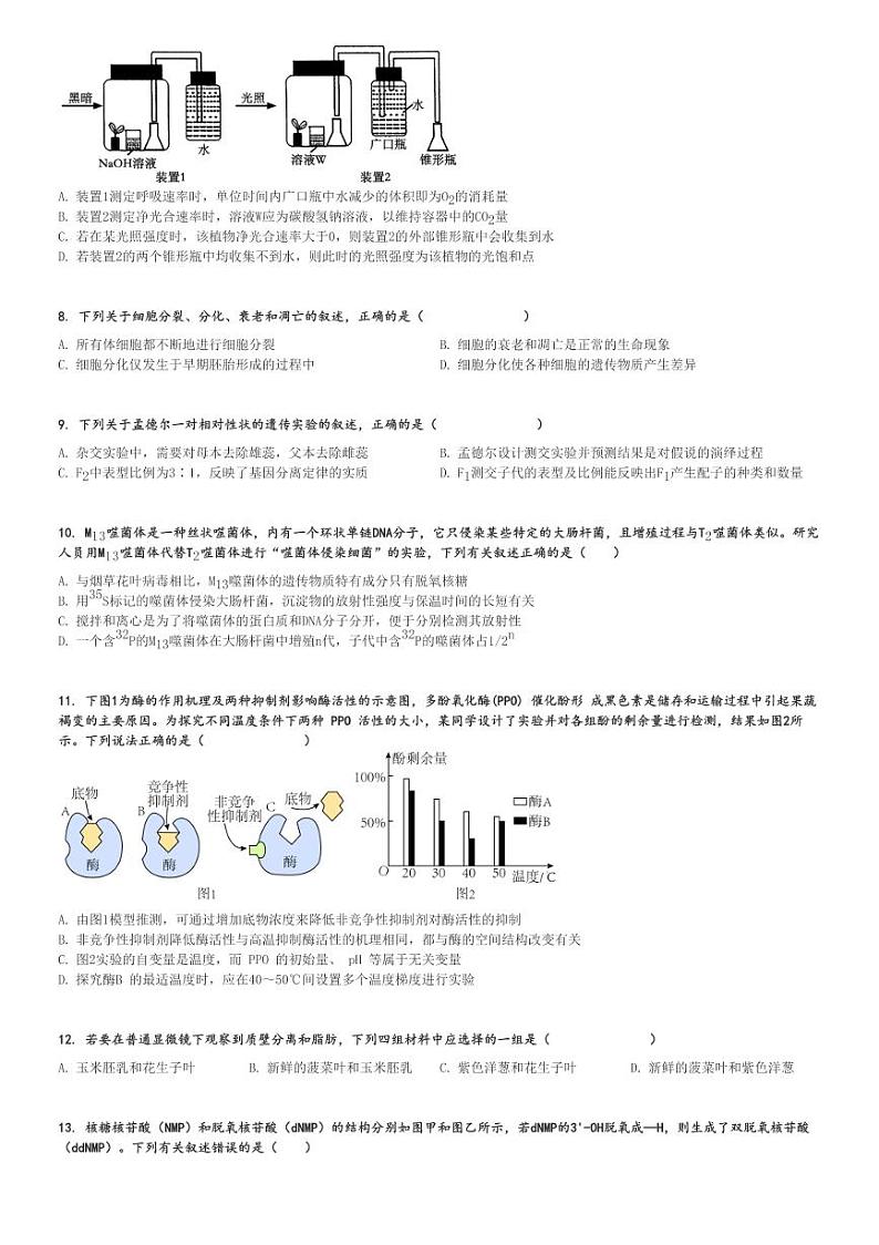 2024～2025学年11月四川雅安高三(上)月考生物试卷(“零诊”)[原题+解析]第2页