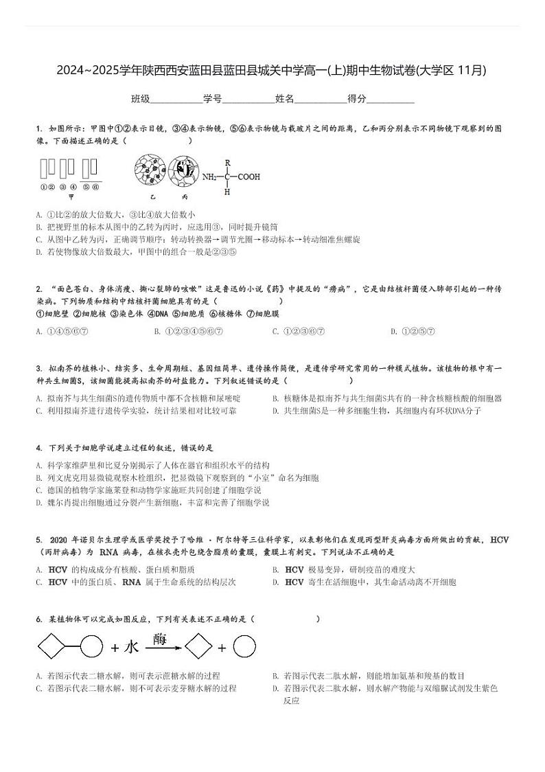 2024～2025学年陕西西安蓝田县蓝田县城关中学高一(上)期中生物试卷(大学区 11月)[原题+解析]第1页