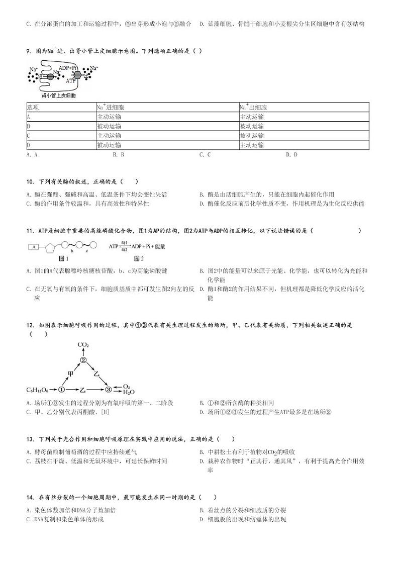 2022～2023学年江苏扬州广陵区扬州大学附属中学东部分校高三(上)开学考试生物试卷[原题+解析]第2页