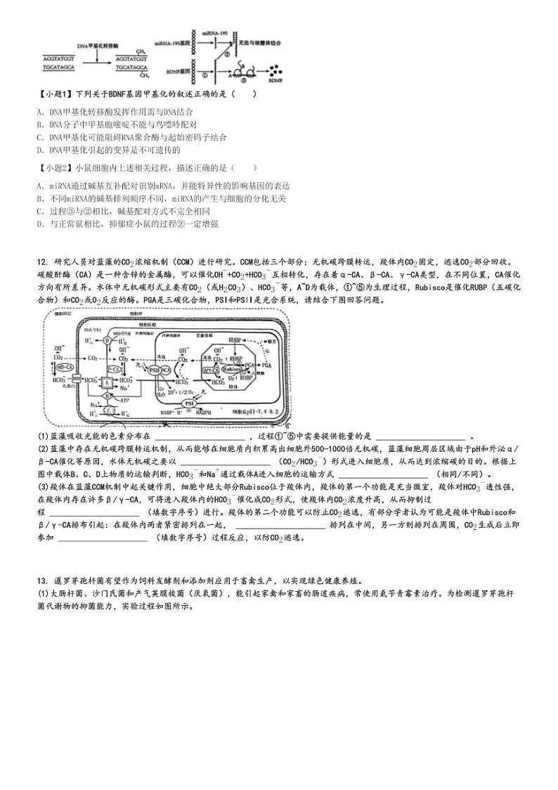 2024～2025学年天津南开区高三(上)期中生物试卷(11月)[原题+解析]03