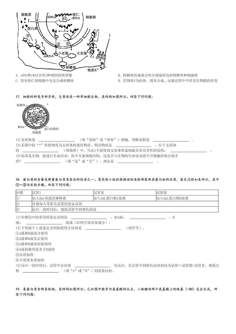 2024～2025学年贵州高一(上)期中生物试卷(部分学校联考 11月)[原题+解析]03
