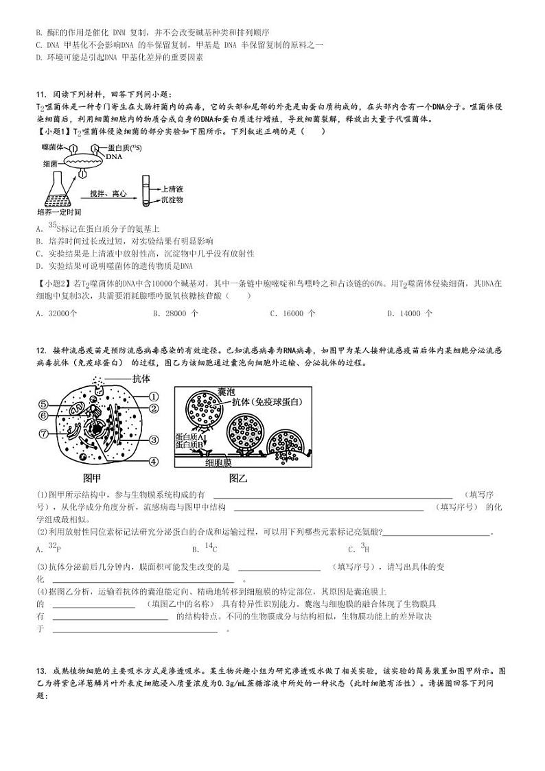 2024～2025学年天津河北区高三(上)期中生物试卷(11月 质量检测)[原题+解析]第3页
