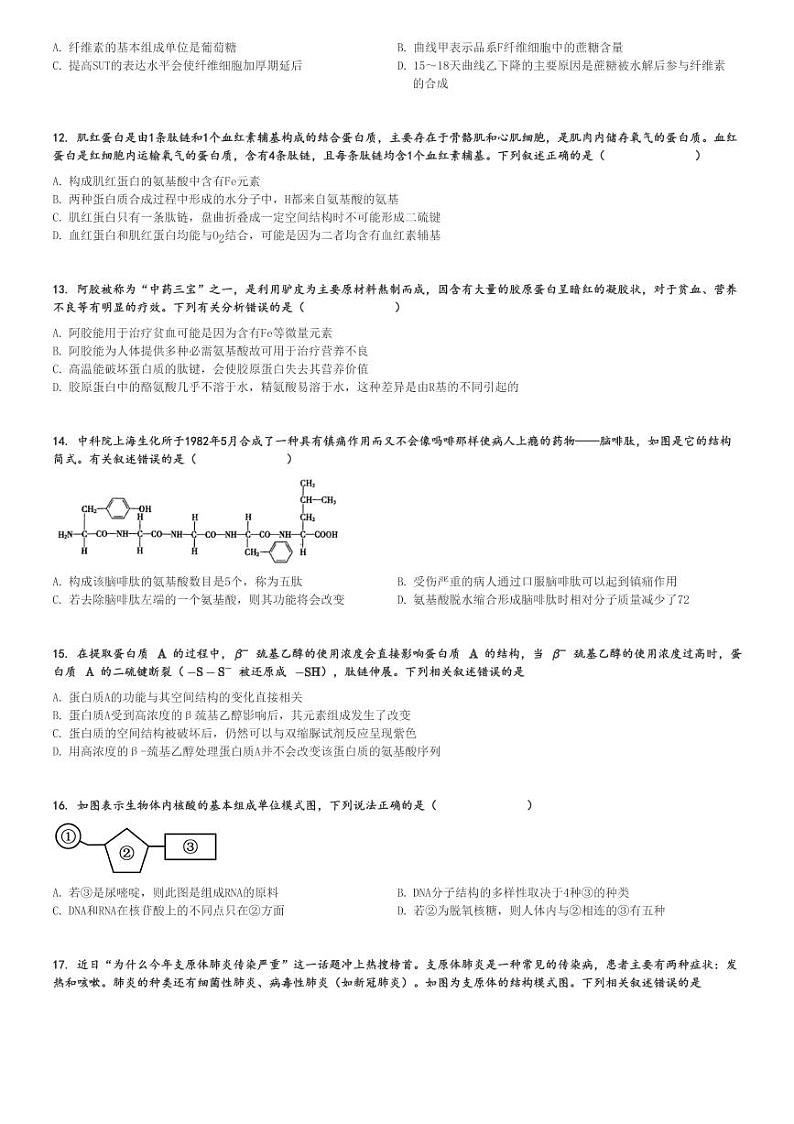 2024～2025学年广东广州越秀区广州市执信中学高一(上)期中生物试卷(11月)[原题+解析]第3页