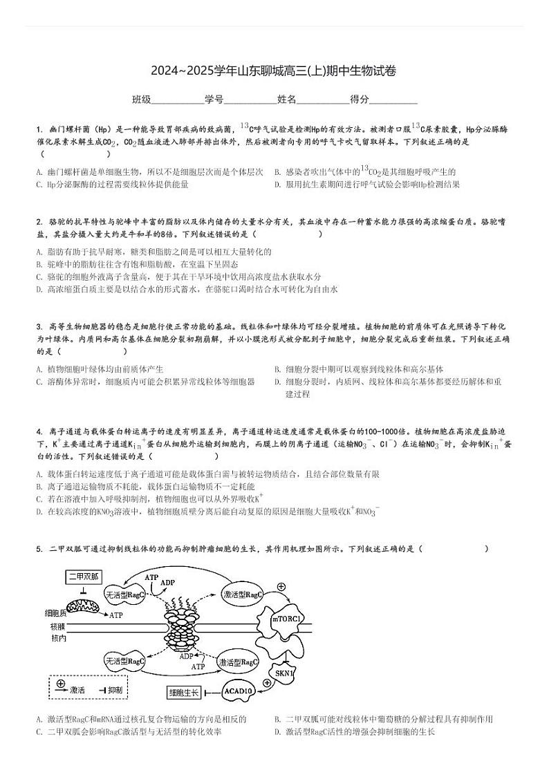 2024～2025学年山东聊城高三(上)期中生物试卷[原题+解析]第1页
