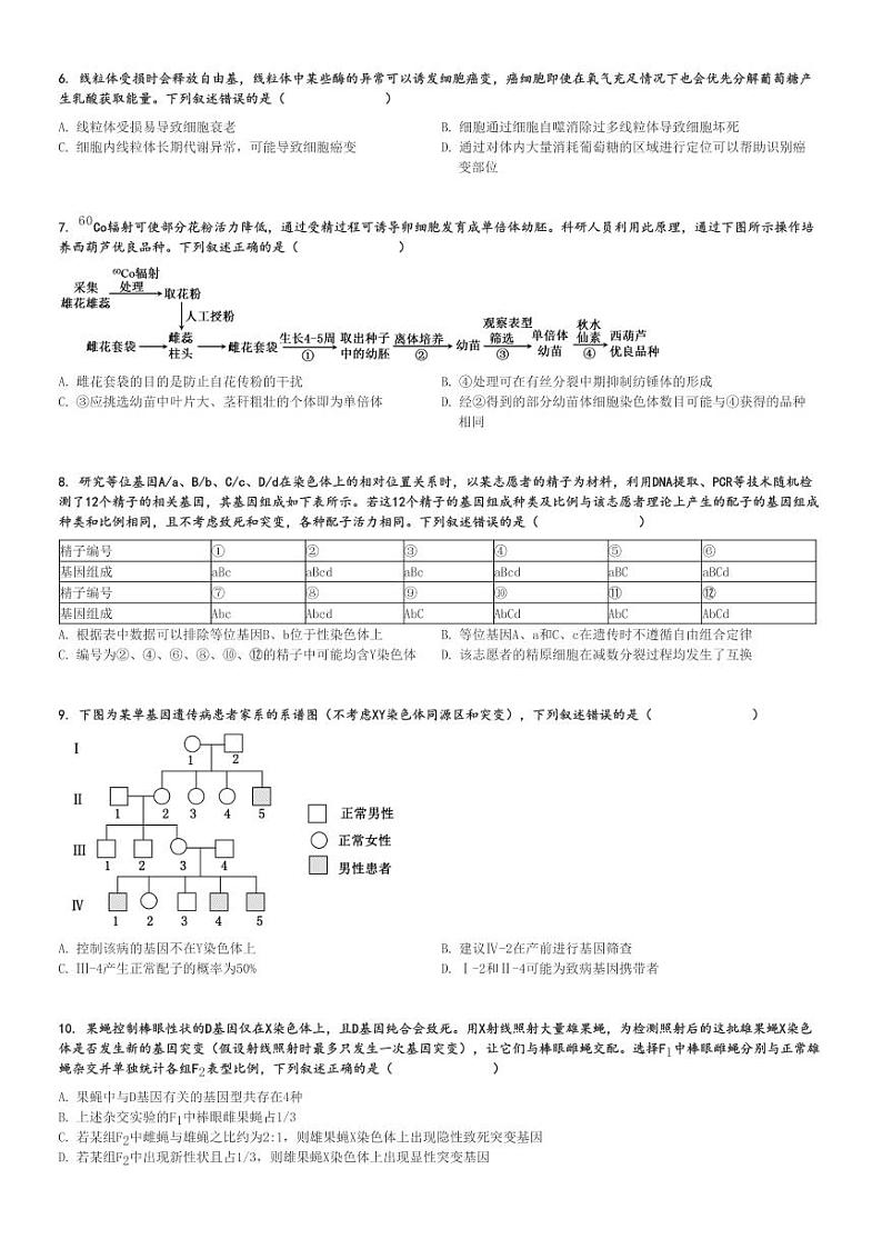 2024～2025学年山东聊城高三(上)期中生物试卷[原题+解析]第2页