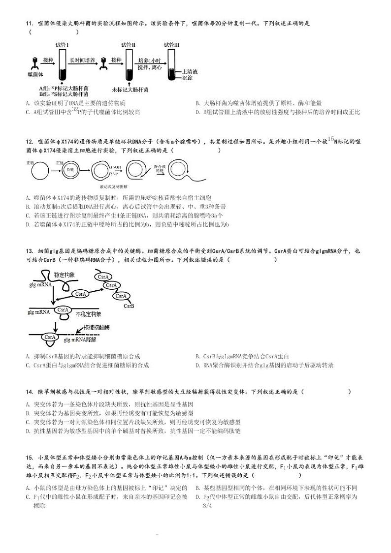 2024～2025学年山东聊城高三(上)期中生物试卷[原题+解析]第3页